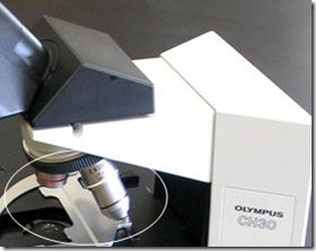 Lensa Mikroskop Objektif