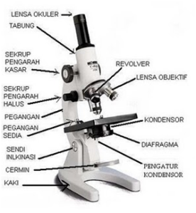 Mikroskop Polarisasi Reichert