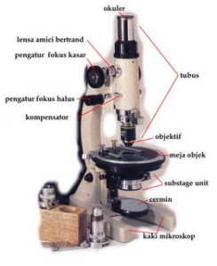 Mikroskop Polarisasi
